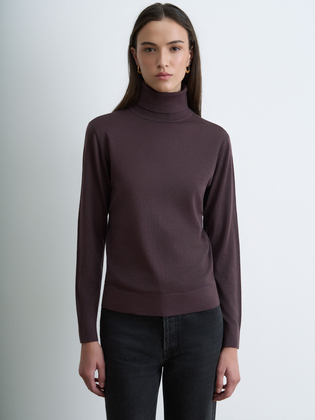 Extrafine Merino Wool Turtleneck