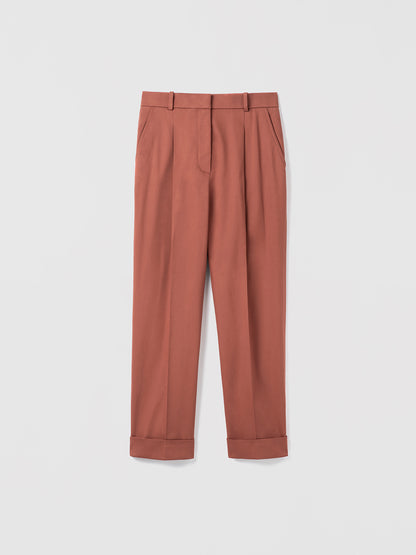 Terracotta pants on a light gray background