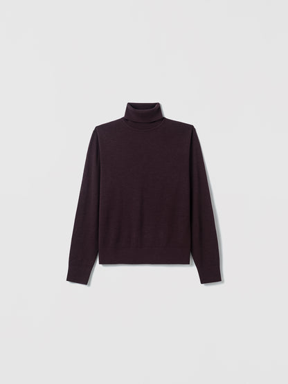 Extrafine Merino Wool Turtleneck